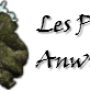 0pnjanwynn.png