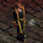 chambellan_carolus.png
