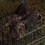 rognarmortes.png