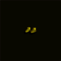 botte_plaque_jaune.png