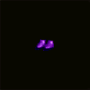 botte_plaque_violet.png
