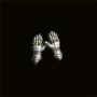 gant_plaque_argent.png