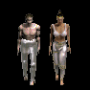 jambi_plaque_argent.png