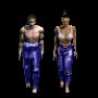 jambi_plaque_bleu.png