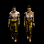jambi_plaque_jaune.png
