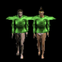 plastron_mago_vert.png