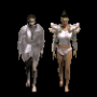 plastron_plaque_argent.png