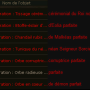 sh_h_armures.png