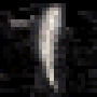 209.gif