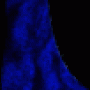 932.gif