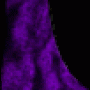 933.gif