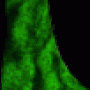 937.gif