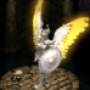 objet_armure_ap.png