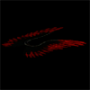 1146.png
