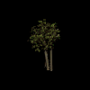1200.png