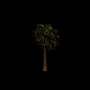 1201.png