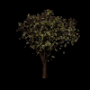 1202.png