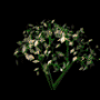 1203.png