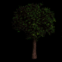 1204.png