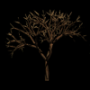 1205.png