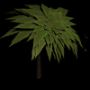 1212.png