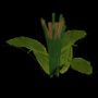 1228.png