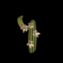 1231.png