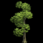1250.png