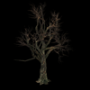 1264.png