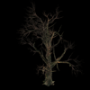 1265.png