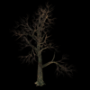1268.png
