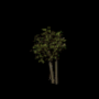 1300.png