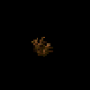 171.png