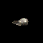 267.png