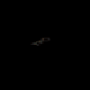 29.png