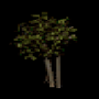 324.png
