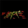 426.png