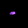 499.png