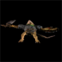 545.png