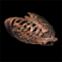 551.png