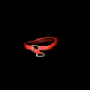 556.png