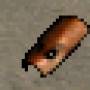 565.jpg