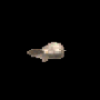 608.png