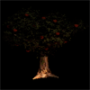 650.png