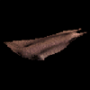 653.png