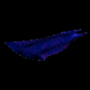 657.png