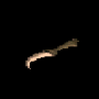 686.png