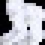 896.jpg