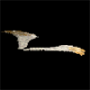 958.png